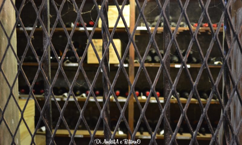 Stellenbosch: i decantati vini